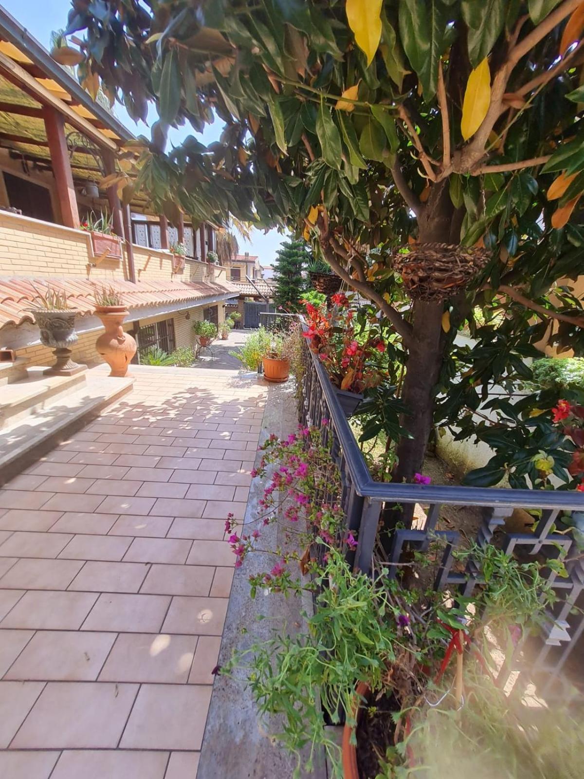 Villa Mattei Dreams Rom Exterior foto